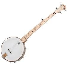 Deering GoodTime Banjo
