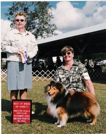 Mary MacDonald handled Teddy to WD/BOB in Judge Bernadetta F. Biasi's ring at the Greater Ocala DC Inc Show on November 13, 2004.
