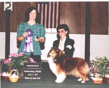 With Suellen Longsine at the end of the lead, Judge Mona Simmons awards Taffy with her second 5 point Speciality major.
