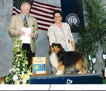 On Saturday, March 15, 2008 Judge Connolly awarded Teddybear a Group 4 at the Fort Lauderdale Dog Shows.
