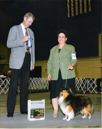 On Wednesday August 1, 2007, at the James River Kennel Club show in Virginia, Judge Jon R. Cole awarded Kodybear Best Of Winners.
