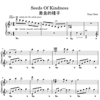 Music Sheet “Seeds Of Kindness”“善良的種子”鋼琴樂譜