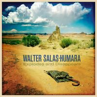 Explodes and Disappears by Walter Salas-Humara