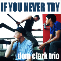 If You Never Try by Dom Clark Trio