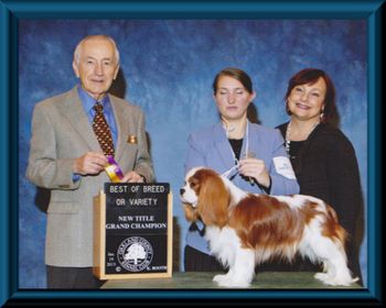 Higgins becomes a Grand Champion at just 15 months old. Thank you judge Roger Hartinger.

