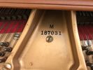 SOLD: Baldwin Grand Piano Model M