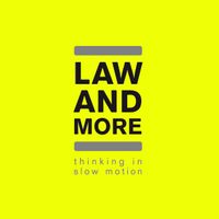 Thinking In Slow Motion by Law and More