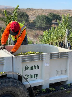 sonoma mountain sauvignon blanc 