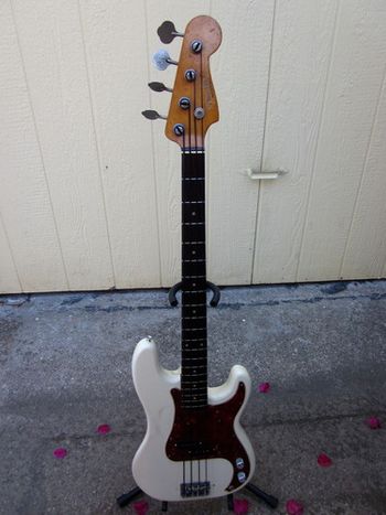 '60 Fender P-Bass, strung with Nylon Tapewounds.

