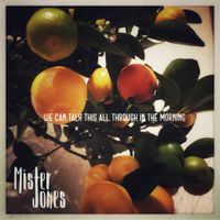 We Can Talk This All Through in the Morning by Mister Jones and His Guitar