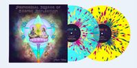 Primordial Mirror of Cosmic Reflection: Double LP *SOLD OUT*