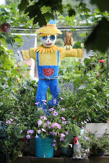 Garden Scarecrow
