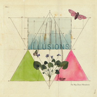 illusions by The Way Down Wanderers