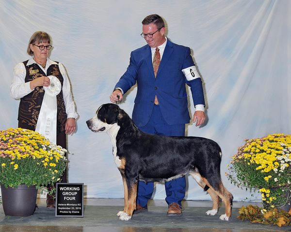 Official Win Photo, Group 4 Helena-Montana Kennel Club. September 2018. Thank you judge Mrs Wendy Maisey.