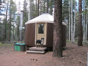 Getting the yurt ready for Swiss Campout 2013 at North Rim
