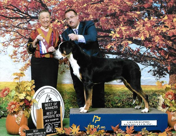 Connor, New Champion! Owner-handled by Mike Rusk. November 2017, 15 months. Thank you judge Carolyn Herbel.