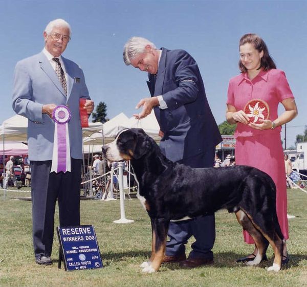 Reserve Winners Dog, NW GSMD Specialty, Mt Vernon, WA. June 2003. Age 2 1/2.