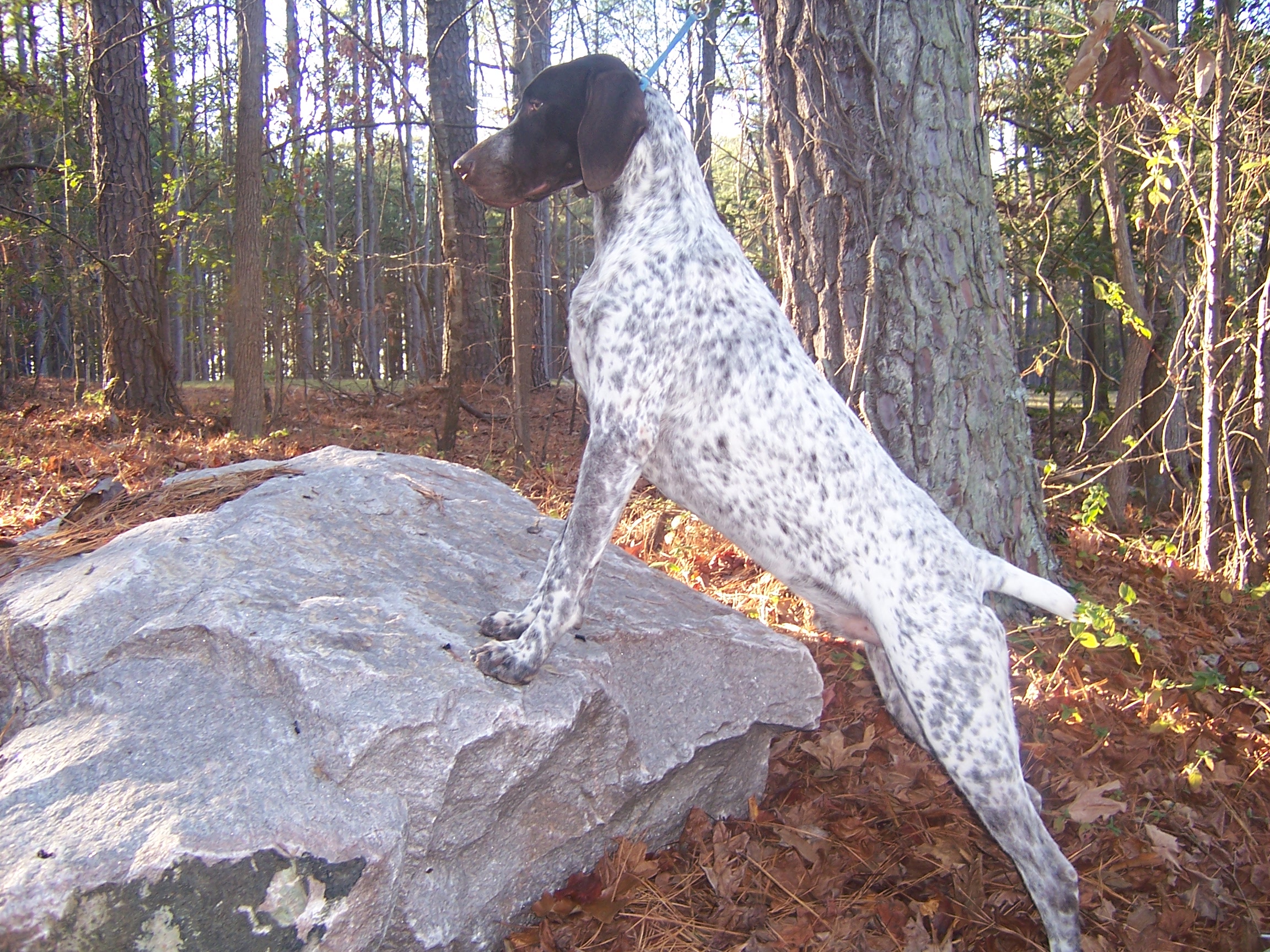 Rock Climbing