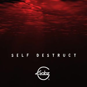 Self Destruct Lyrics