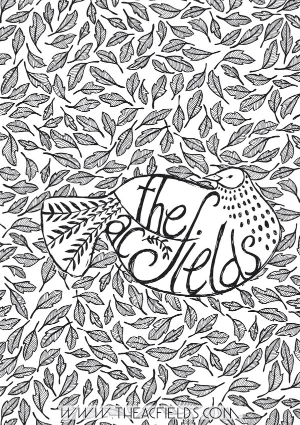 The Acfields 'Bird' Art Print (A3)