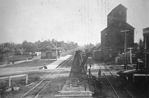 Looking south across the main street at Millbrook in the Grand Trunk era. The "Old Road" coming in from Omemee occupies the view, while the road to Peterborough branches off to the left of the station building. Charles H. Heels Collection