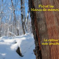 Le retour aux souches de Pic et les blancs de mémoire (Sylvain Picard)
