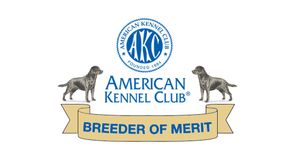 Ashland Labradors is proud to be an American Kennel Club Breeder of Merit.