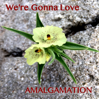 We're Gonna Love by Amalgamation