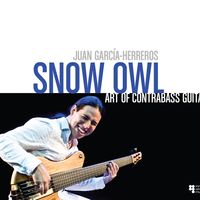 Art of Contrabass Guitar by Snow Owl