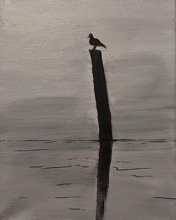 "Seagull Silhouette", acrylic, marker
