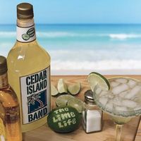 The Lime Life by Cedar Island Band