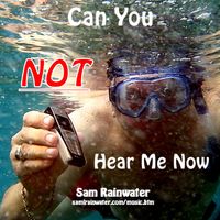 Can You Not Hear Me Now by Sam Rainwater