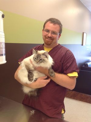 Jon S. is our salon problem solver. He built and fixes all the salon equipment and suites. He has a gentle, loving nature towards the cats and they all seem to know he is a cat lover! He was trained by Jennifer to bathe, dry, hold and comb cats and he helps when we need him.