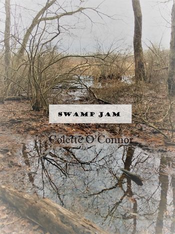 Single, artwork for "Swamp Jam" 2/22/17
