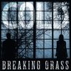 Cold: Breaking Grass