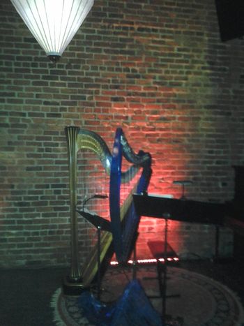 Baby Blue ELECTRIC Harp, Georgetown Ballroom 2013
