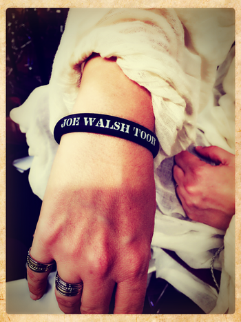 Windy Wagner on the Joe Walsh Tour

