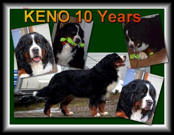 Ginger's father Keno at 10 years old
