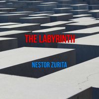 The Labyrinth by Nestor Zurita