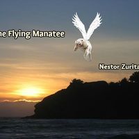 The Flying Manatee by Nestor Zurita
