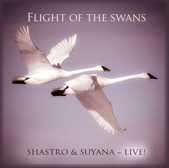 Shastro & Suyana • Flight of the Swans (Single-LIVE)