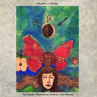 The Seeds That Grow Within the Stones 2013: CD