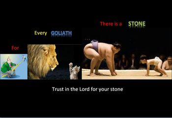 For every Goliath there is a stone
