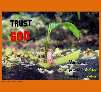 Trust God. He will provide shelter when it rains(Photo by Penkdix Palme)
