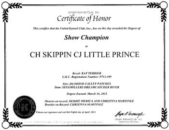 Ch Skippin CJ Little Prince
