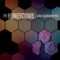 The Honeycomb - John O'Gallagher Trio (FSNT 462) by John O'Gallagher