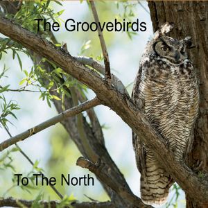 The Groovebirds: To The North (2019)