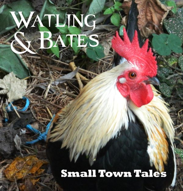 Small Town Tales: CD Album