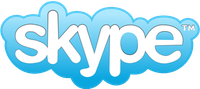 Skype lesson (90 min)