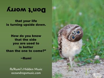 "Don’t worry that your life is turning upside down.  How do you know that the side you are used to is better than the one to come?" #Rumi
